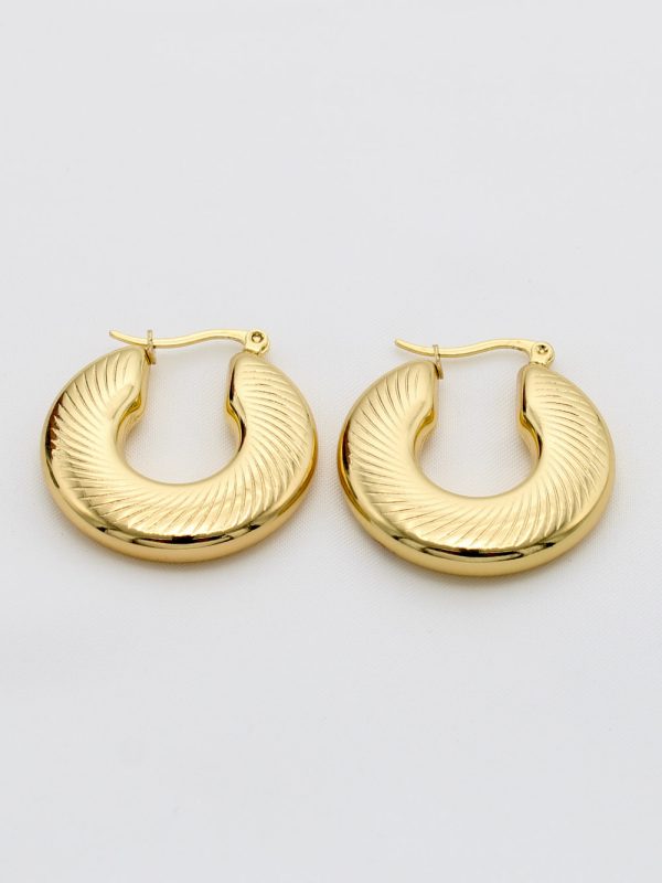 Créoles Bombées en Fer à Cheval : Boucles d'Oreilles Acier Inoxydable P011812